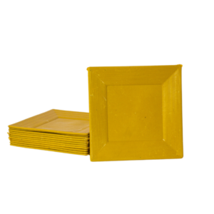 Durable Plastic Plates (1 dozen)