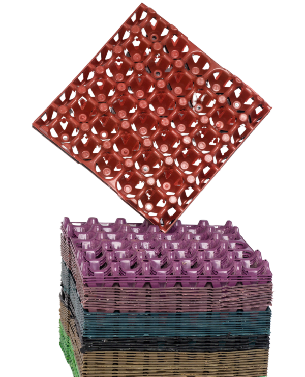 Plastic Egg Crates (1 dozen)