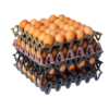 Fresh Eggs – (per crate)