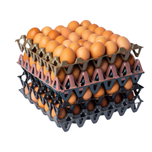 Fresh Eggs – (per crate)