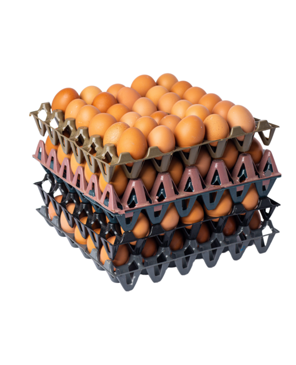 Fresh Eggs – (per crate)