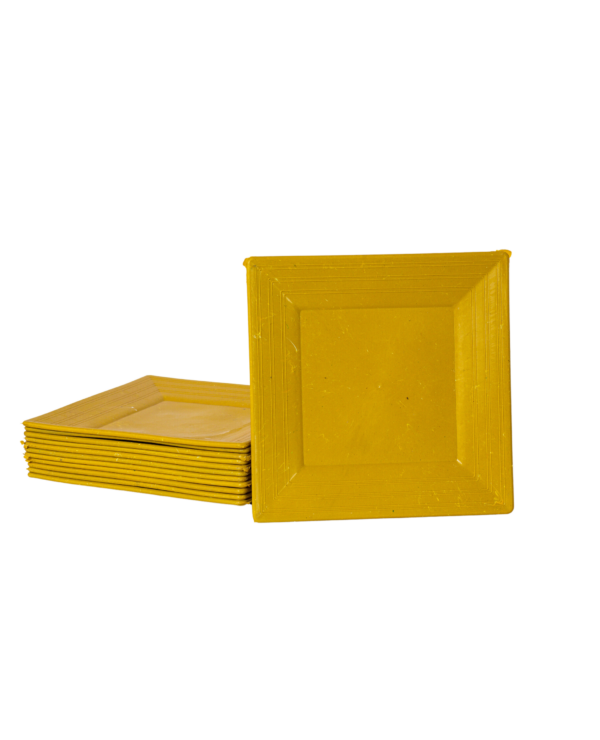 Durable Plastic Plates (1 dozen)