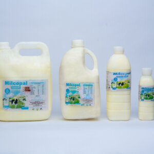 Milcopal Yoghurt