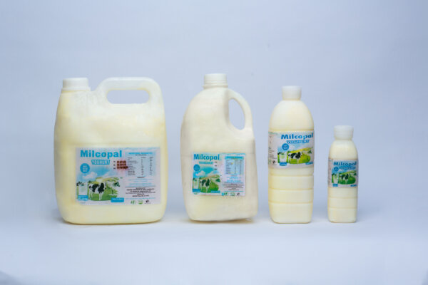 Milcopal Yoghurt